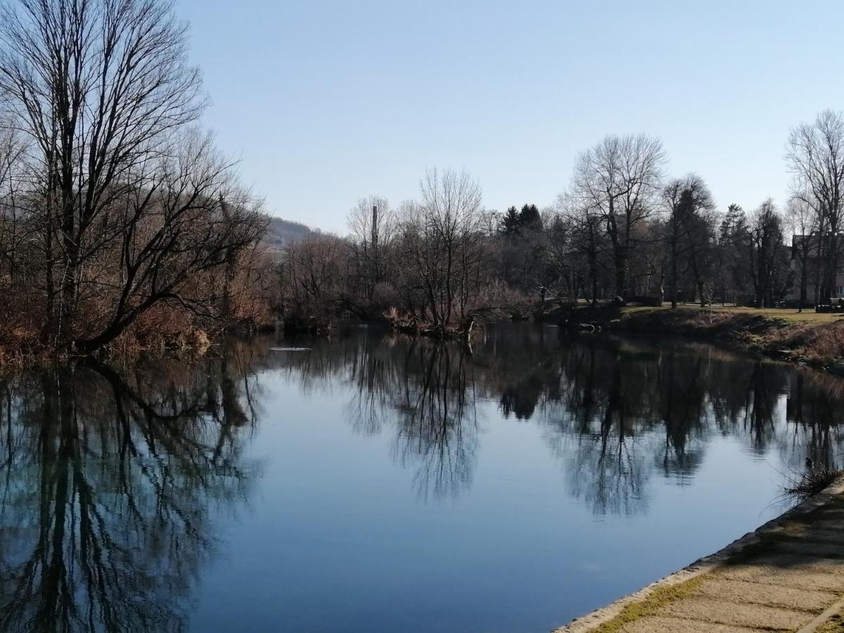 Mreznicki Mozaik Apartment Duga Resa Bagian luar foto