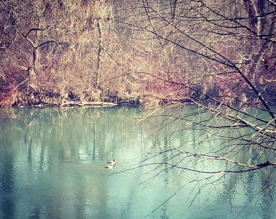 Mreznicki Mozaik Apartment Duga Resa Bagian luar foto